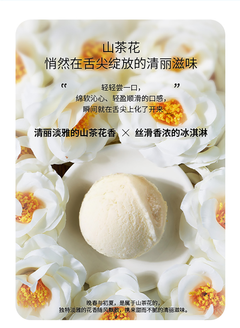冰淇淋粉詳情_08